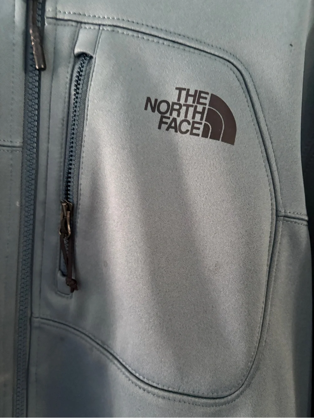 The North Face Men’s Jacket